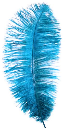 feathers - Pictures of feathers - Luscious blog - images.jpg